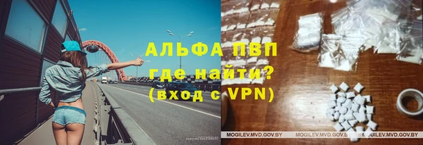 шишки Аша