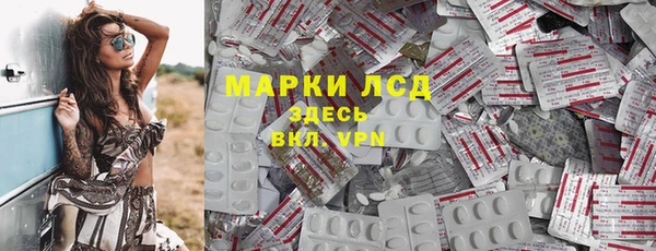 прущие грибы Наволоки