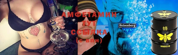 винт Инта